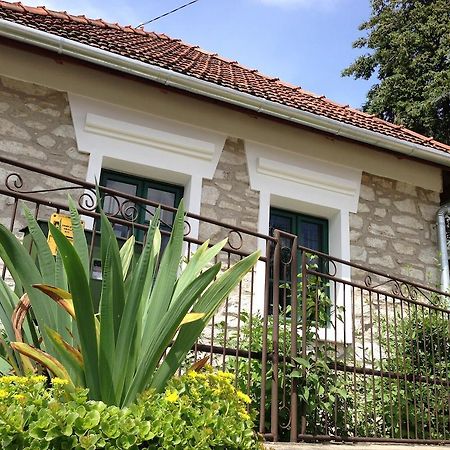 Cziroka Vendeghaz Apartment Tolcsva Екстериор снимка